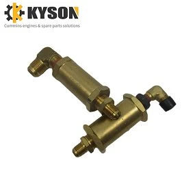 Cummins Check Valve (4)(001)