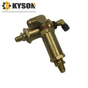 Cummins Check Valve (5)(001)