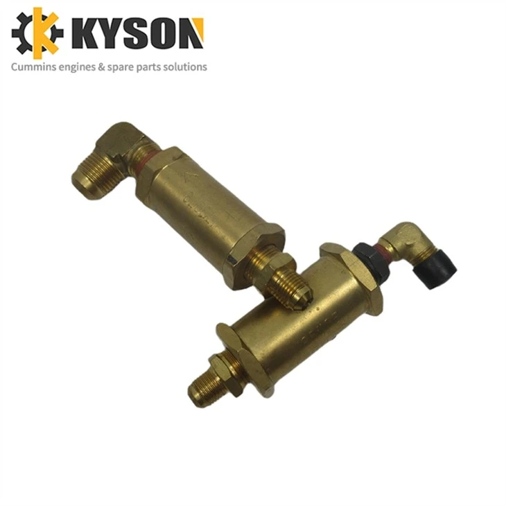 Cummins Check Valve (4)