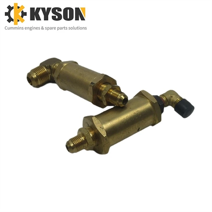 Cummins Check Valve 3038325 3038325 3630525 178079 185505 (1)