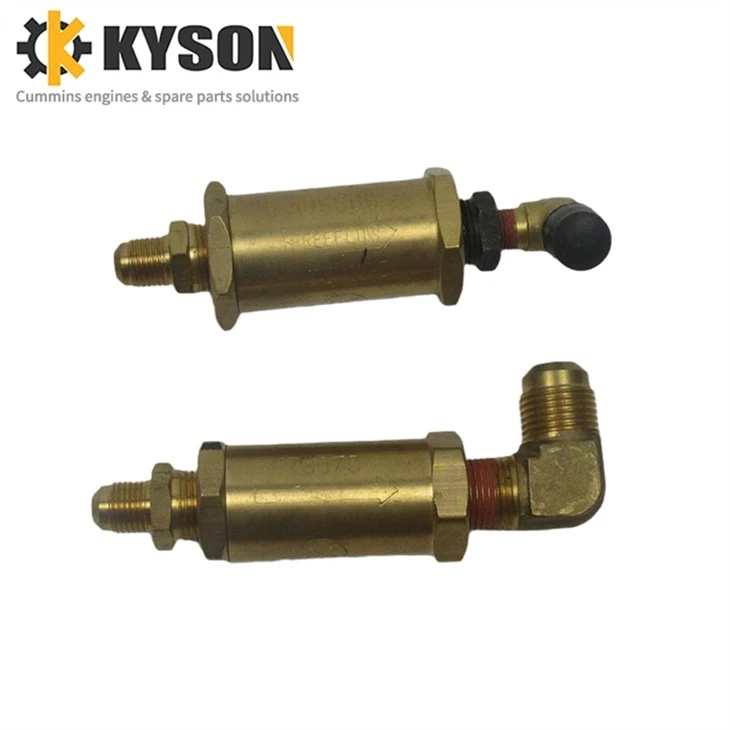 Cummins Check Valve 3038325 3038325 3630525 178079 185505 (3)
